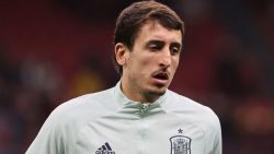 Mikel-Oyarzabal